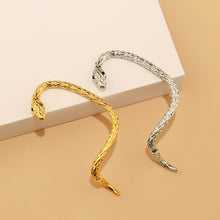 Laden Sie das Bild in den Galerie-Viewer, Kreative Schlangenohrringe Für Damen