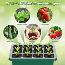 Laden Sie das Bild in den Galerie-Viewer, 12-Loch-Setzlingsbox