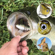 Laden Sie das Bild in den Galerie-Viewer, Bionic Schwimmköder-Set