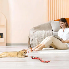 Laden Sie das Bild in den Galerie-Viewer, Interaktives Schlangenspielzeug für Katzen