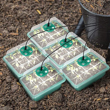 Laden Sie das Bild in den Galerie-Viewer, Sämlingsaufzuchtbox mit leichter Sämlingsheberkultivierung