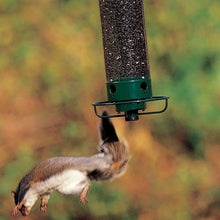 Laden Sie das Bild in den Galerie-Viewer, Anti-Eichhörnchen-Vogelhäuschen