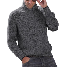 Laden Sie das Bild in den Galerie-Viewer, Einfarbiger Vielseitiger Rollkragenpullover für Herren