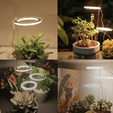Laden Sie das Bild in den Galerie-Viewer, Wachstumslampe für Zimmerpflanzen