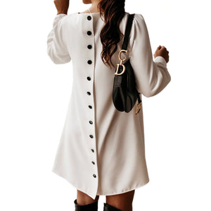 Kleid mit Rundhalsausschnitt und Metallschnalle