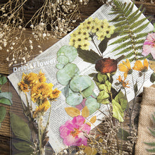 Laden Sie das Bild in den Galerie-Viewer, Getrocknete Blumen Sticker Set