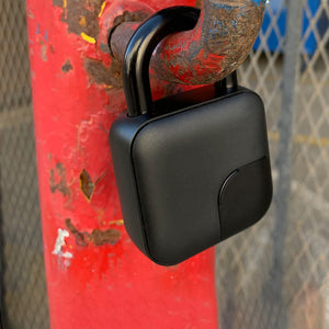 Intelligentes biometrisches Bluetooth-Fingerabdruck-Vorhängeschloss