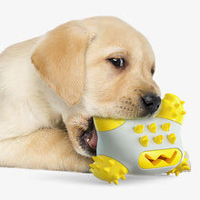Laden Sie das Bild in den Galerie-Viewer, Spielzeug zum Zähneputzen für Hunde