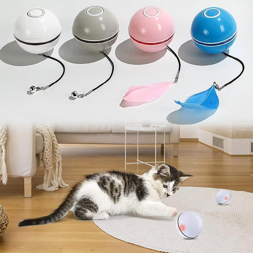 Freietaube Laser Katzenball mit Feder