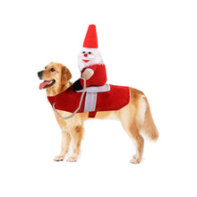 Laden Sie das Bild in den Galerie-Viewer, Haustier Reiten Kostüm