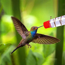 Laden Sie das Bild in den Galerie-Viewer, Kolibri-Feeder