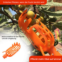 Laden Sie das Bild in den Galerie-Viewer, Obstpflückwerkzeug Mit Teleskopstange