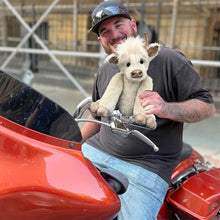 Laden Sie das Bild in den Galerie-Viewer, Simulation Schottische Hochlandkuh Plüschpuppe