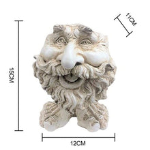 Laden Sie das Bild in den Galerie-Viewer, Lustiger Ausdrucksblumentopf