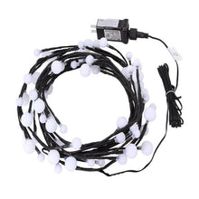 Laden Sie das Bild in den Galerie-Viewer, Verzaubertes Weidenrebenlicht