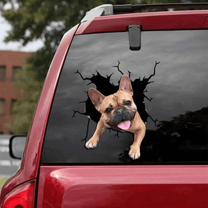 Kreativer Hundeaufkleber für Autofenster