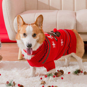Warme Weihnachtskleidung für Haustiere