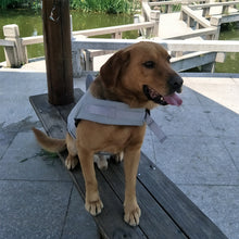 Laden Sie das Bild in den Galerie-Viewer, Meerjungfrau Hunde Schwimmweste