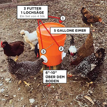 Laden Sie das Bild in den Galerie-Viewer, DIY Geflügel Futterautomat