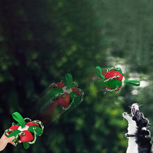 Laden Sie das Bild in den Galerie-Viewer, Bissfestes Hundespielzeug Frisbeefußball