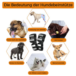Haustier-Gelenkstützgürtel
