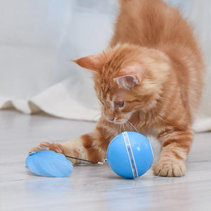Freietaube Laser Katzenball mit Feder