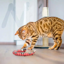 Laden Sie das Bild in den Galerie-Viewer, Interaktives Schlangenspielzeug für Katzen