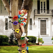 Laden Sie das Bild in den Galerie-Viewer, Kinder Hinterhof Felsen Klettern Set