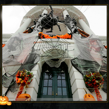 Laden Sie das Bild in den Galerie-Viewer, Halloween Szene Dekoration - Spinnennetz