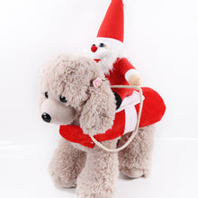 Laden Sie das Bild in den Galerie-Viewer, Haustier Reiten Kostüm