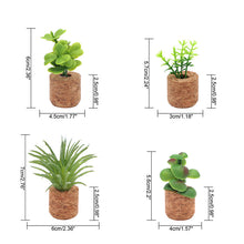 Laden Sie das Bild in den Galerie-Viewer, Mini Dimensional Simulierte Sukkulente Auto Clip Kühlschrank Aufkleber