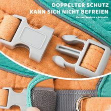 Laden Sie das Bild in den Galerie-Viewer, Haustier Westengurt und Leine Set