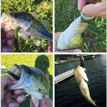 Laden Sie das Bild in den Galerie-Viewer, Gummifische mit mehreren Segmenten