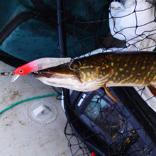 Laden Sie das Bild in den Galerie-Viewer, Magnetischer Simulationsköder