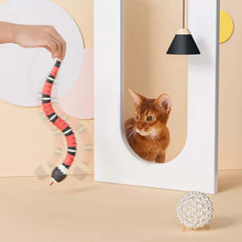 Laden Sie das Bild in den Galerie-Viewer, Interaktives Schlangenspielzeug für Katzen
