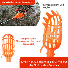 Laden Sie das Bild in den Galerie-Viewer, Obstpflückwerkzeug Mit Teleskopstange