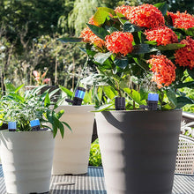 Laden Sie das Bild in den Galerie-Viewer, Bewässerungsset für den Garten