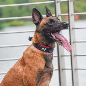 Reflektierendes Hundehalsband Aus Nylon