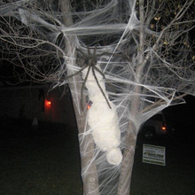 Laden Sie das Bild in den Galerie-Viewer, Halloween Szene Dekoration - Spinnennetz