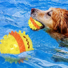 Laden Sie das Bild in den Galerie-Viewer, Outdoor Haustier Seilball