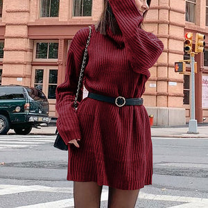 Damen Langärmliges Lockeres Pulloverkleid mit Rollkragen