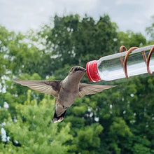 Laden Sie das Bild in den Galerie-Viewer, Kolibri-Feeder