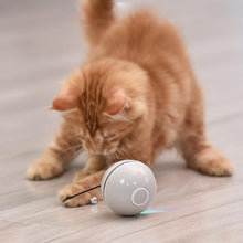 Laden Sie das Bild in den Galerie-Viewer, Freietaube Laser Katzenball mit Feder