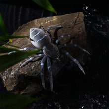 Laden Sie das Bild in den Galerie-Viewer, Spinnen Angelköder