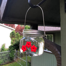 Laden Sie das Bild in den Galerie-Viewer, Wunderschöne Einmachglas Kolibri-Futterstation