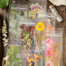 Laden Sie das Bild in den Galerie-Viewer, Getrocknete Blumen Sticker Set