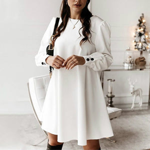 Kleid mit Rundhalsausschnitt und Metallschnalle