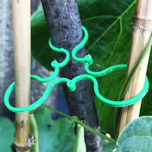 Laden Sie das Bild in den Galerie-Viewer, Praktischer Gartenpflanzenhalter (50 Stück)