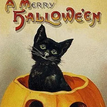 Laden Sie das Bild in den Galerie-Viewer, Retro Halloween Postkarten (24 Stück)