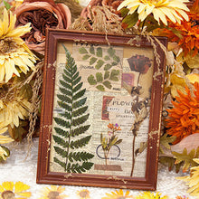 Laden Sie das Bild in den Galerie-Viewer, Getrocknete Blumen Sticker Set